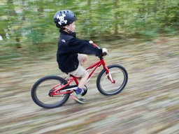 Article de test